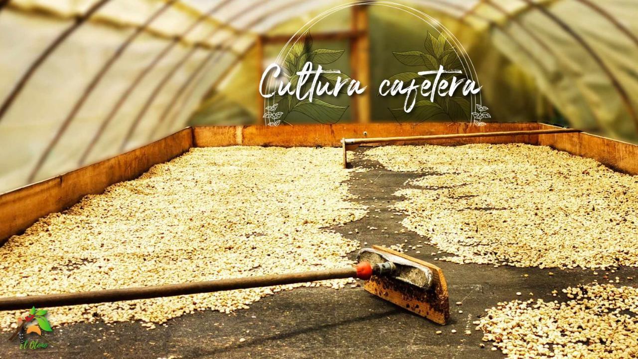 Finca Tradicional El Otono Pijao Buitenkant foto