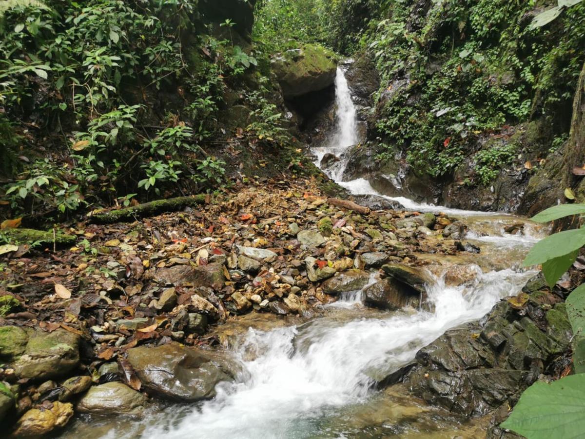 Finca Tradicional El Otono Pijao Buitenkant foto