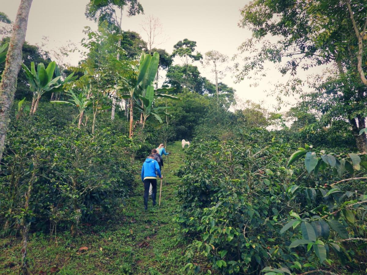 Finca Tradicional El Otono Pijao Buitenkant foto